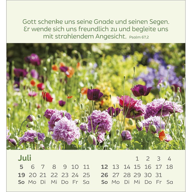 KleineBlumengrüße_2026_4484470026-07_800x800