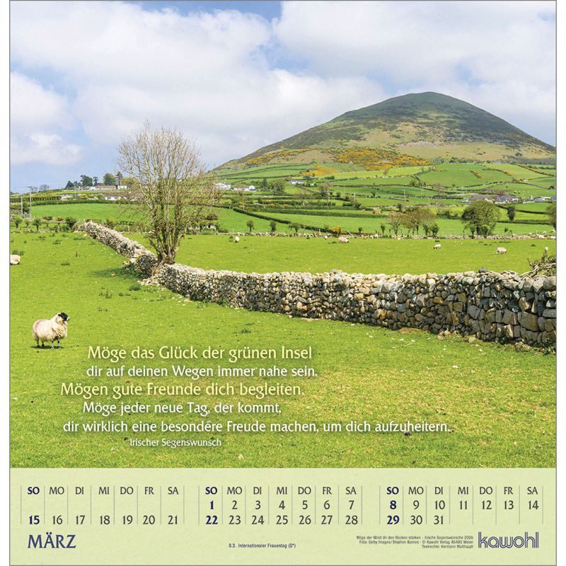 Mögederwind2026_484275026-03_800x800