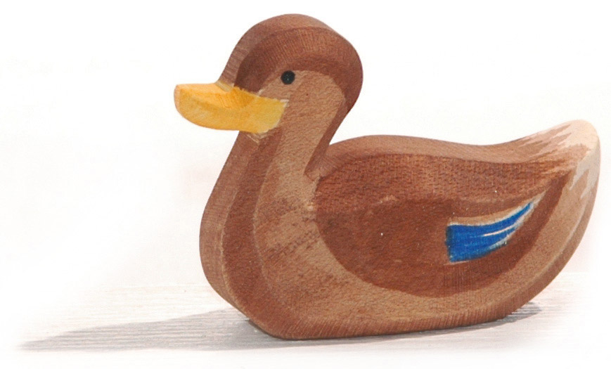 Ente schwimmend 