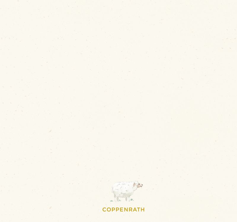 4050003956992MeineTaufeArche_BC_800x800