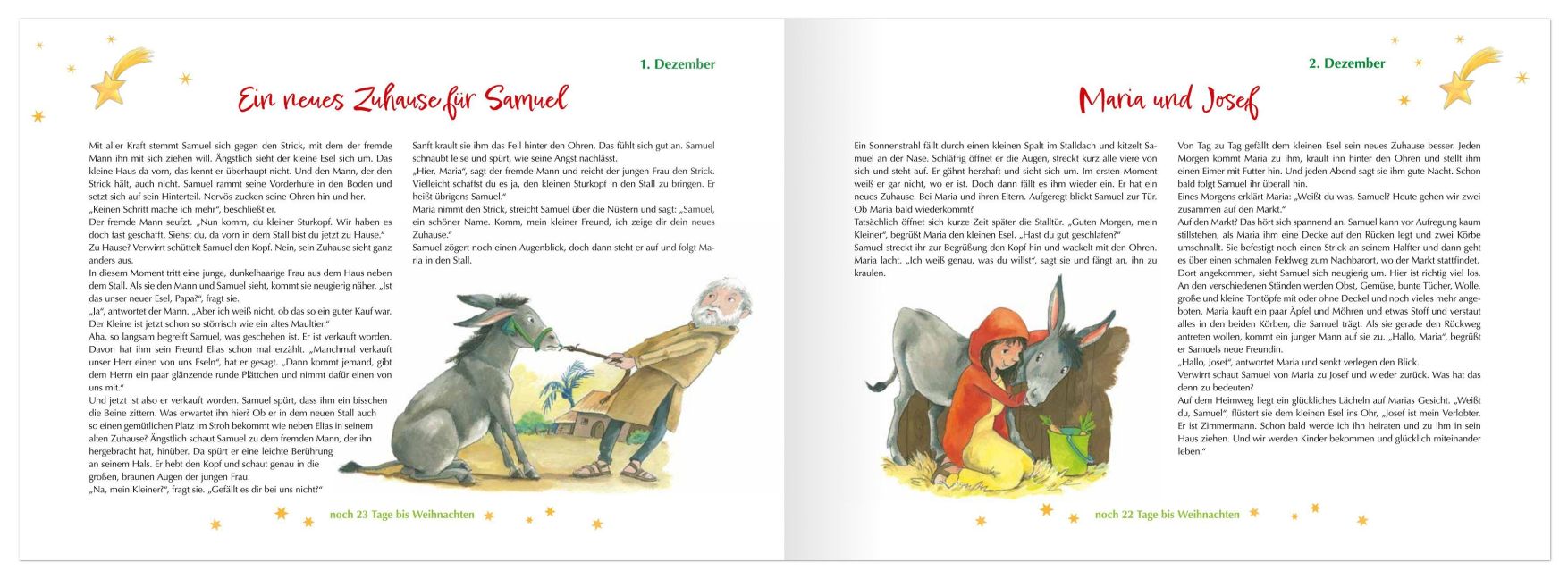Samuel und der Weihnachtsstern_2