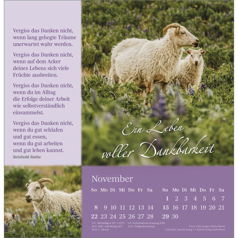 Seibehütet2026_484253026-11_800x800