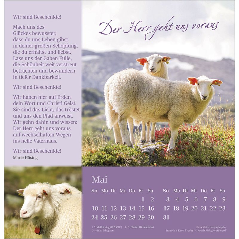 Seibehütet2026_484253026-05_800x800