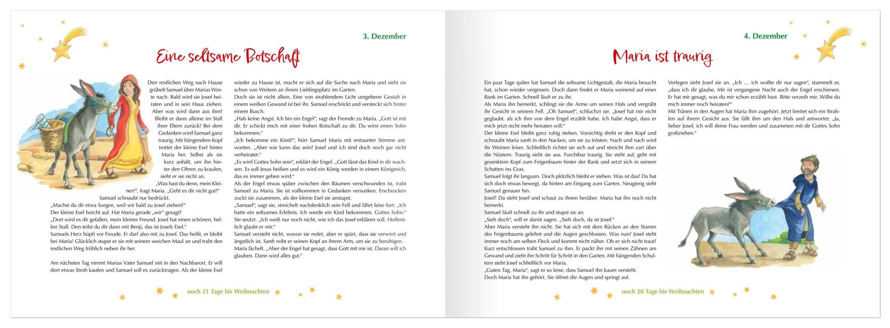 Samuel und der Weihnachtsstern_3