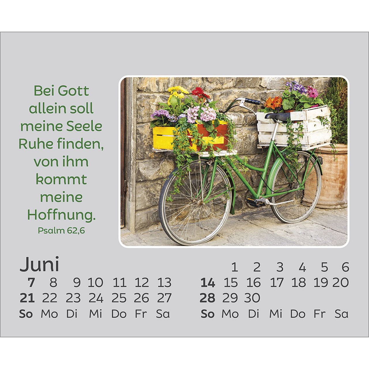 484610026-06_1920x1920