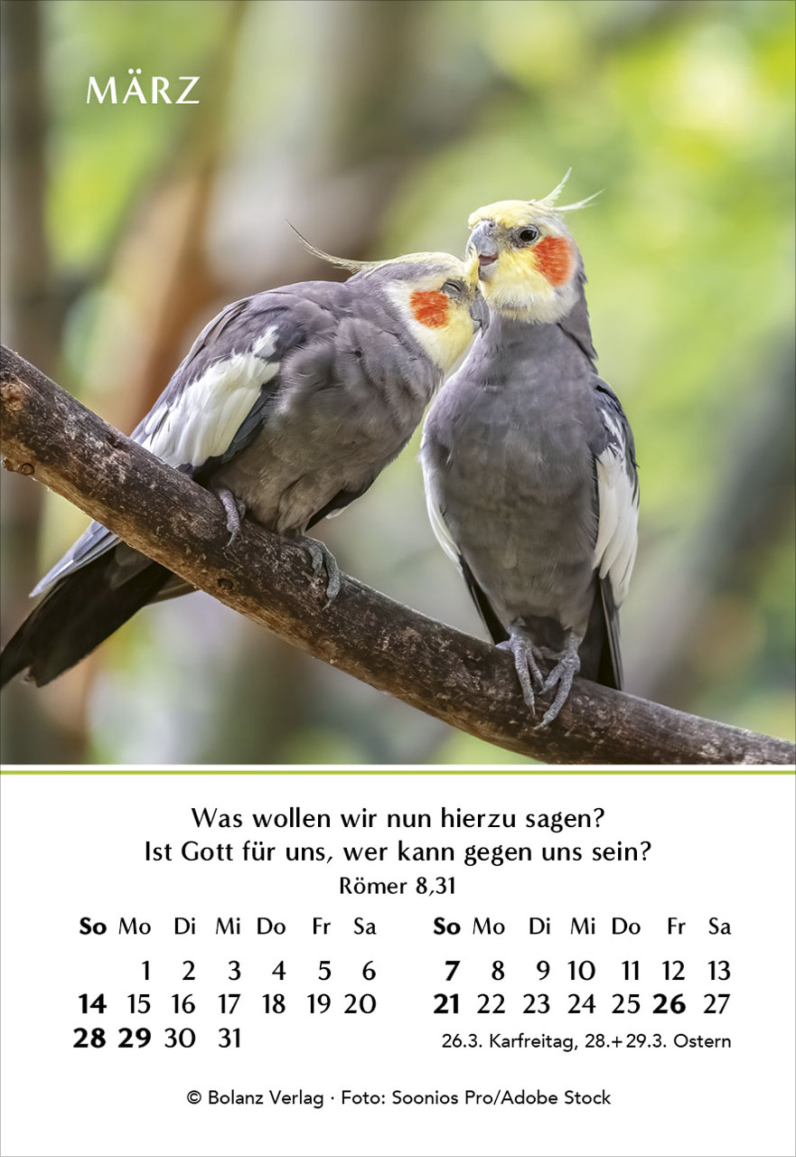 37193-339020027_Ein-Jahr-der-Geborgenheit_2027_DE_03