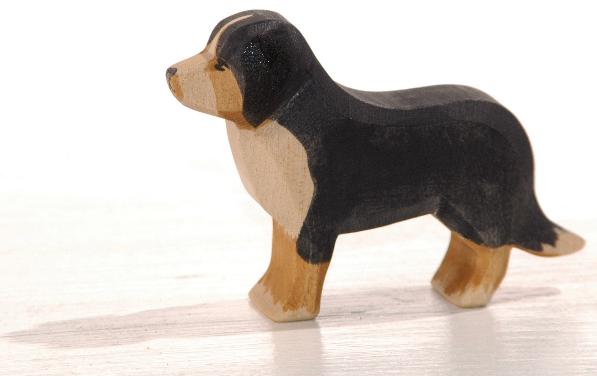 10521-Berner-Sennhund