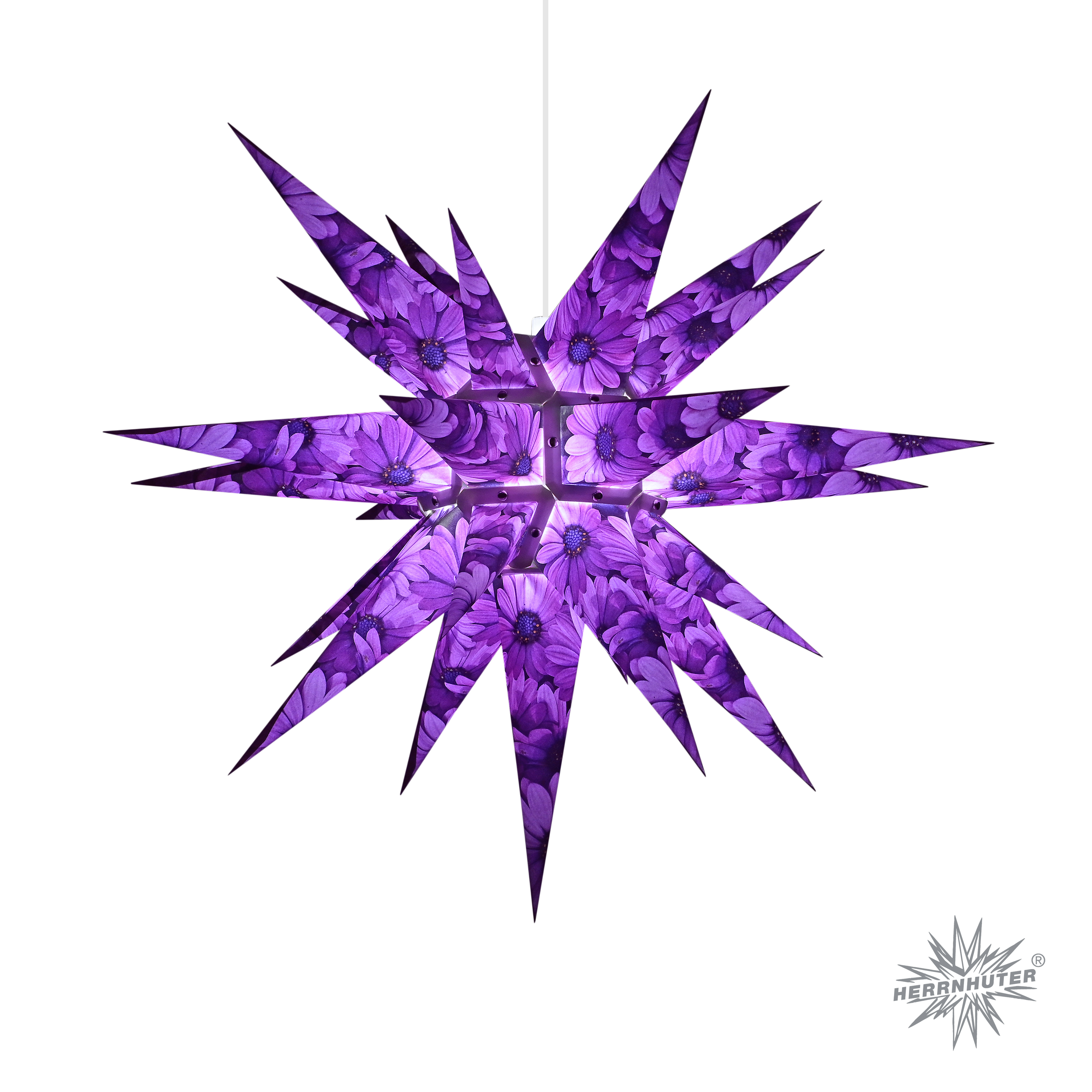 Edition_Natur_2022_-_Kapmargerite_beleuchtet_logo