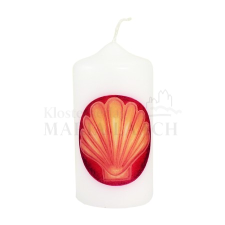 871637_Kerze Muschel