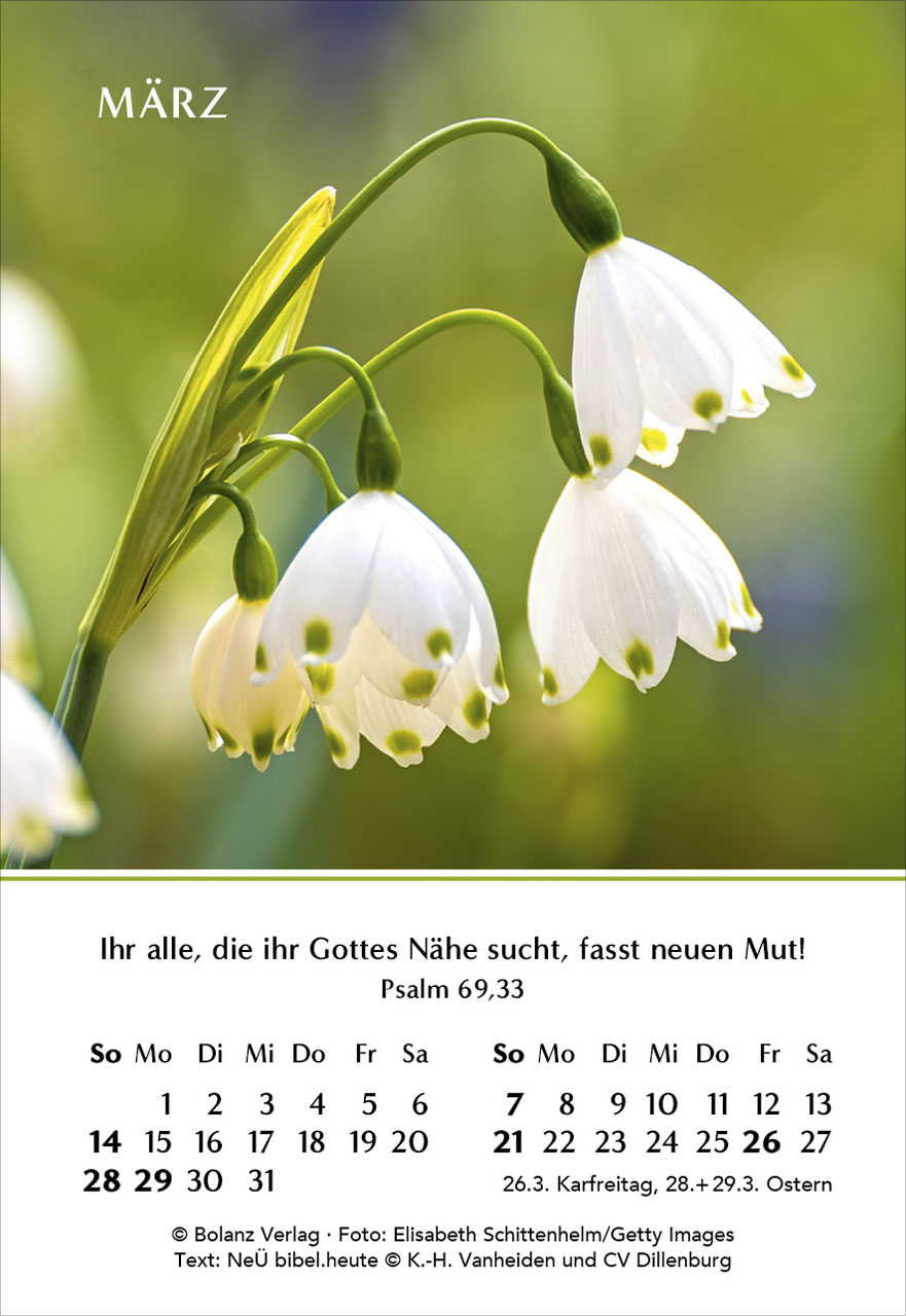 37170-339018027_Ein-Jahr-der-Freude_2027_DE_03