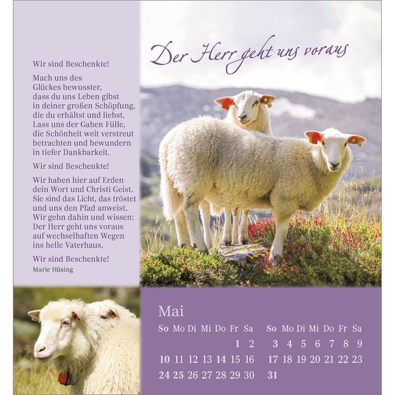 Sei behütet und geborgen2026484808026-05_800x800