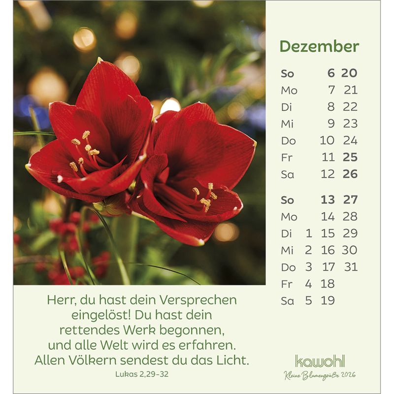 KleineBlumengrüße_2026_4484470026-12_800x800