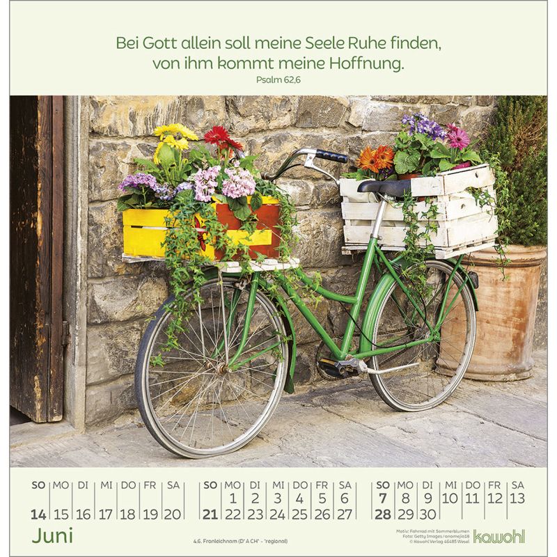 Blumengrüße2026_484260026-06_800x800