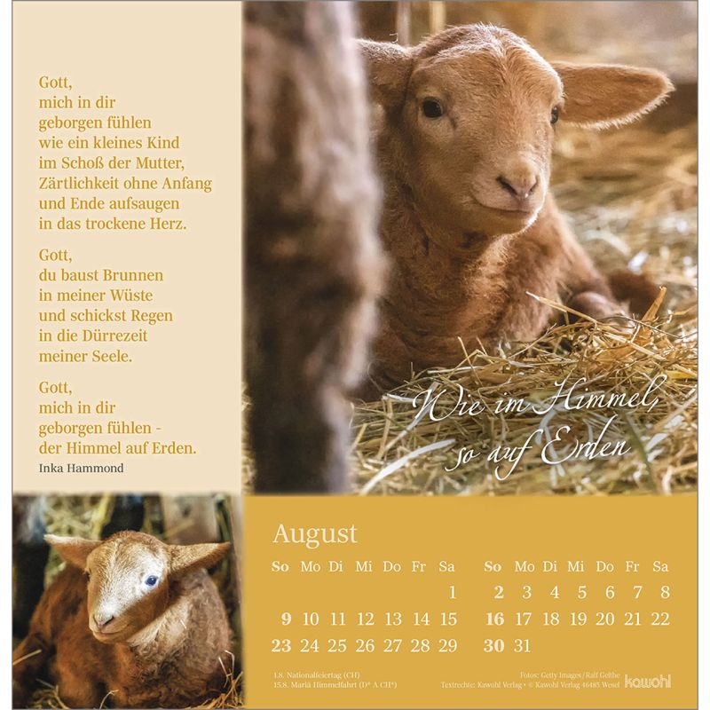 Seibehütet2026_484253026-08_800x800