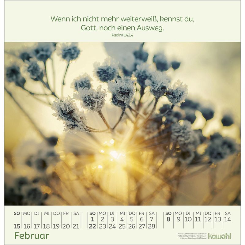 Blumengrüße2026_484260026-02_800x800