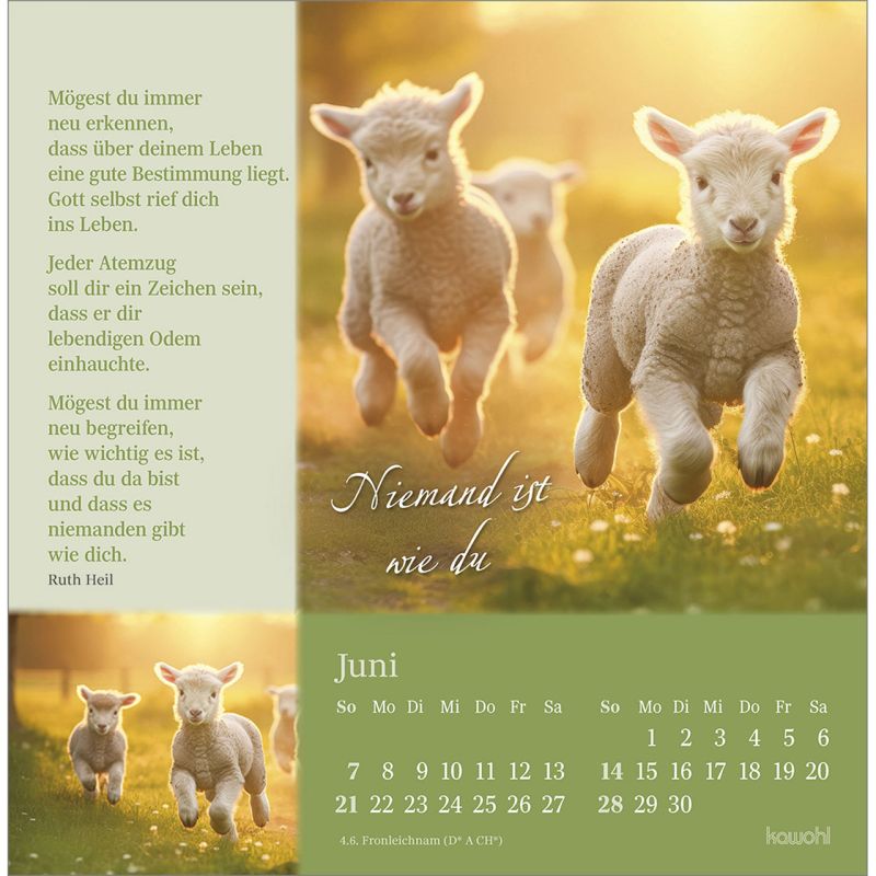 Sei behütet und gesegnet484768026-06_800x800