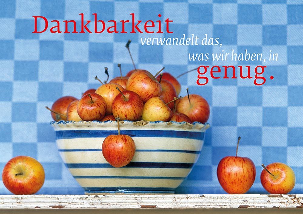 ik-3386_Genug