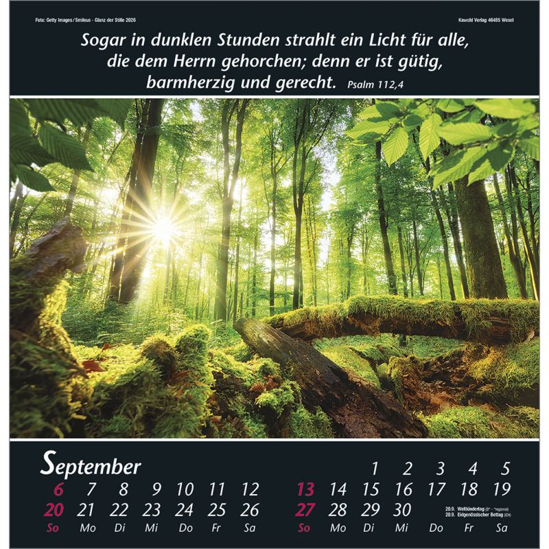 GlanzderStille2026_484200026-09_800x800
