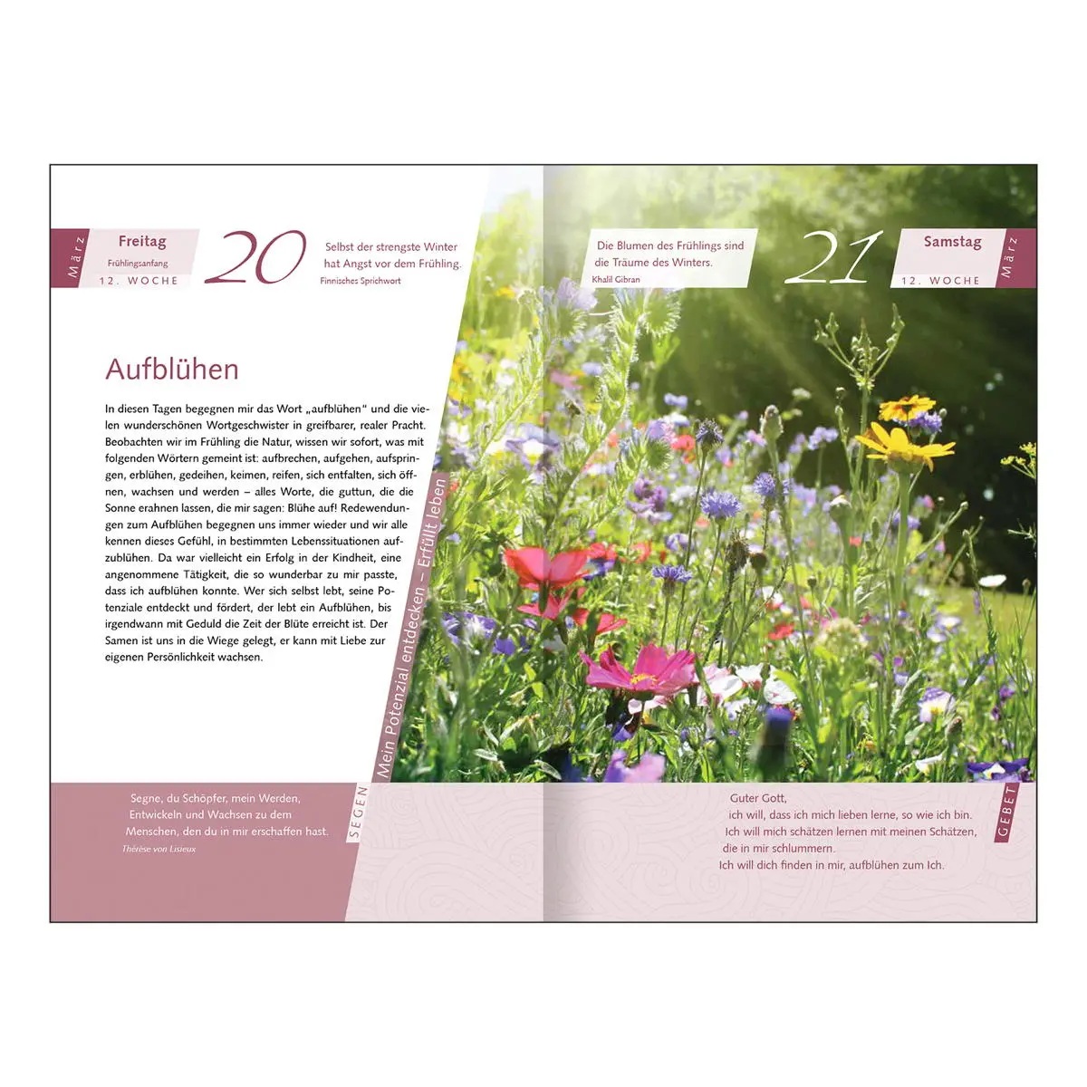 Alles hat seine Zeit1064936_4_1200x1200