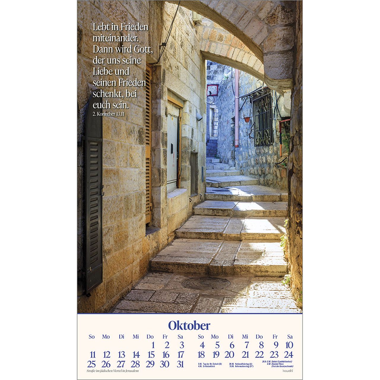 484700026-10_1920x1920