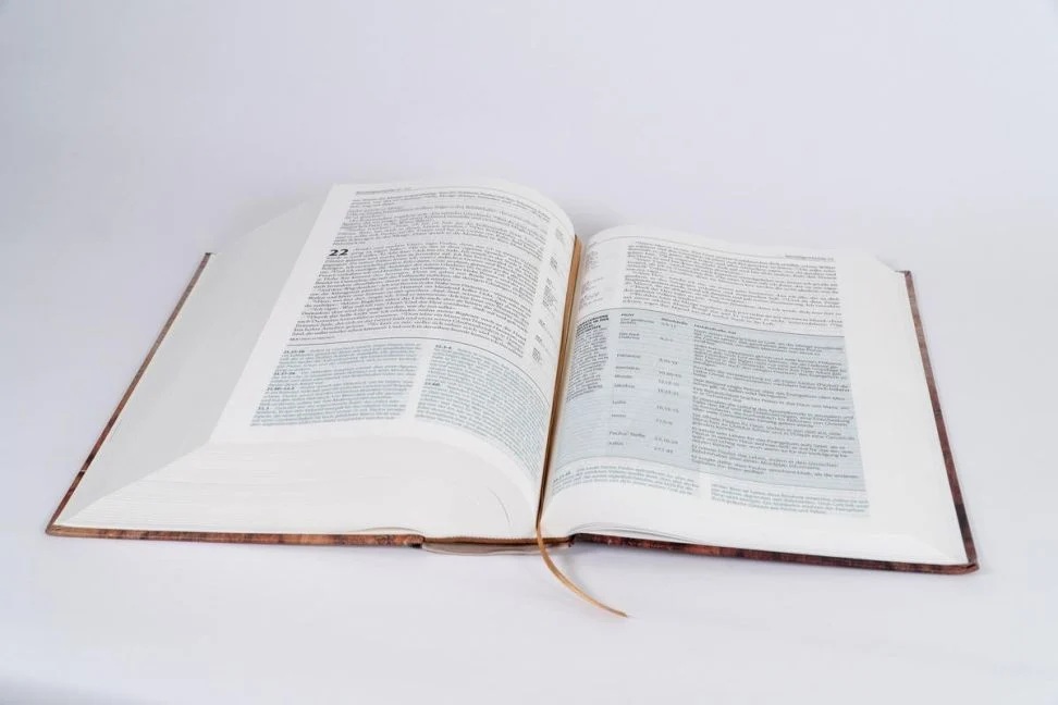 Begegnung fürs Leben Buch_1