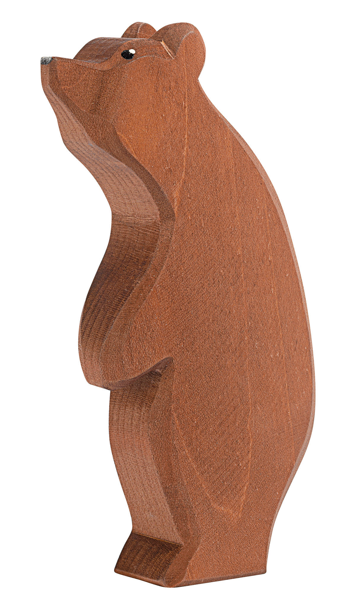 Bär groß stehend Kopf hoch